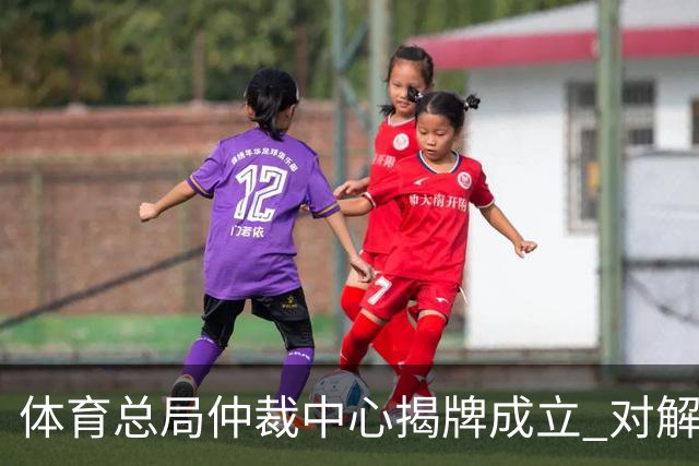 体育总局仲裁中心揭牌成立 对解决足球纠纷有益